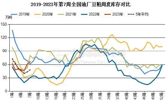 賭博：瑞達期貨：供應壓力明顯存在 菜系價格有望走弱