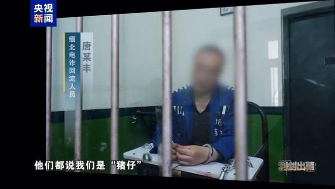 21點：電詐頭目臨刑前仍叫囂狼生來要喫肉