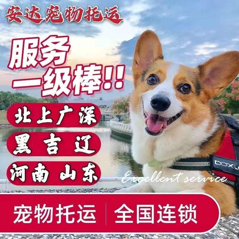 {易七娛樂註冊}(宠物托运价格查询表)