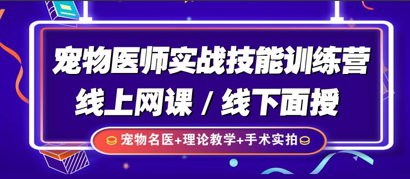 {易七娛樂註冊}(想当宠物医生去哪里学比较好)