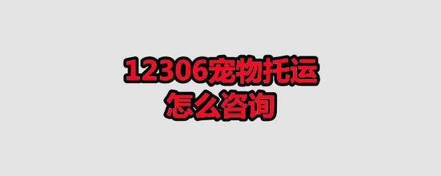 {易七娛樂體育}(12306可以咨询宠物托运吗)